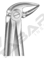 Extracting Forceps English pattern 