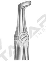 Extracting Forceps English pattern 