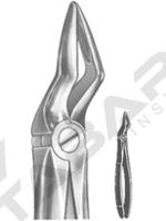 Extracting Forceps English pattern 