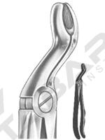 Relax Extracting Forceps 