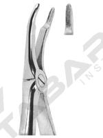 Extracting Forceps English pattern 