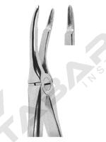 Extracting Forceps English pattern 