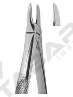 Extracting Forceps English pattern 