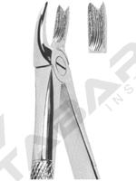 Extracting Forceps English pattern 