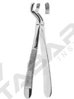 Extracting Forceps English pattern 