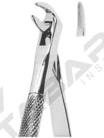 Extracting Forceps English pattern 