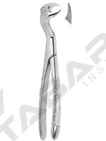 Extracting Forceps English pattern 