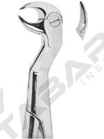 Extracting Forceps English pattern 