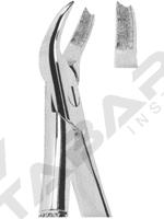 Extracting Forceps English pattern 