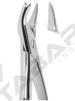 Extracting Forceps English pattern 