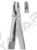 Extracting Forceps English pattern 