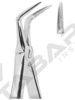 Extracting Forceps English pattern 