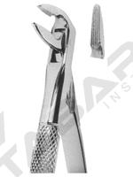 Extracting Forceps English pattern 