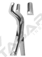 Extracting Forceps American pattern 