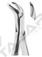 Extracting Forceps American pattern 