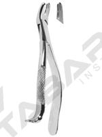 Extracting Forceps American pattern 