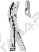 Extracting Forceps American pattern 