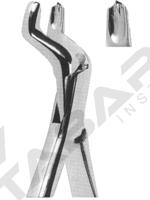 Extracting Forceps American pattern 