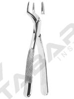 Extracting Forceps American pattern 