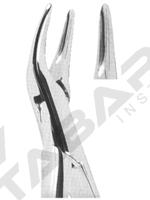 Extracting Forceps American pattern 