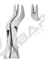 Extracting Forceps American pattern 