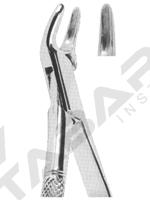 Extracting Forceps American pattern 