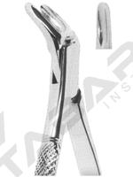 Extracting Forceps American pattern 