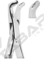 Extracting Forceps American pattern 