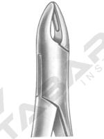 Extracting Forceps American pattern 