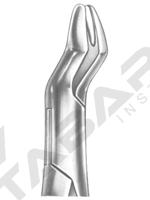 Extracting Forceps American pattern 