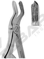 Extracting Forceps For Children- Klein Pattern