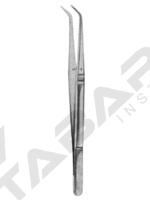 Dental Tweezers 