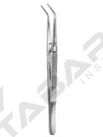 Dental Tweezers 